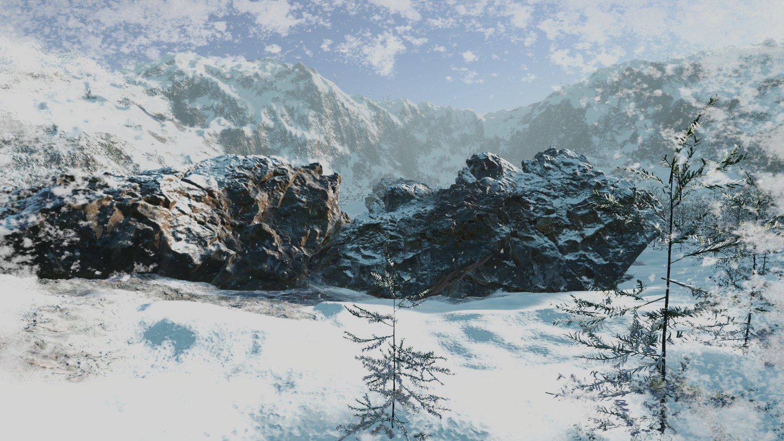 Forest demo at -15 °C: hoarfrost on the ground and the boulders, and frost on the edges of the camera view
