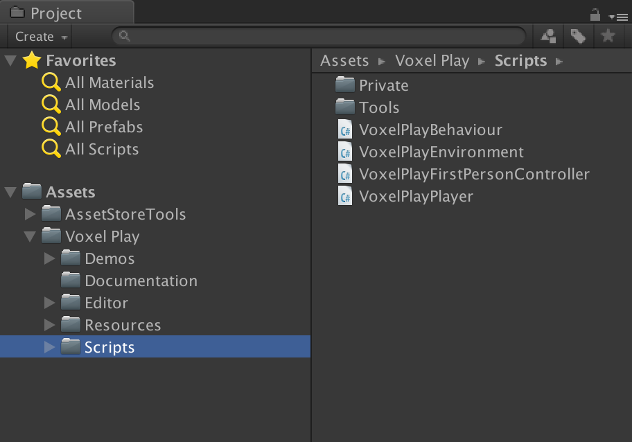Voxel play key components 0