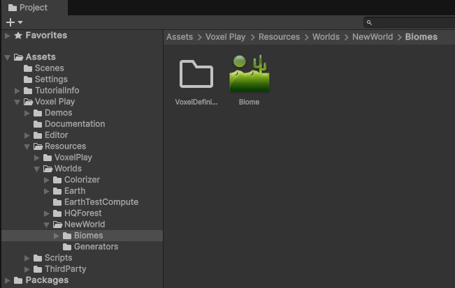 Voxel play set new world 4