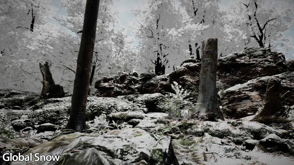 Global Snow