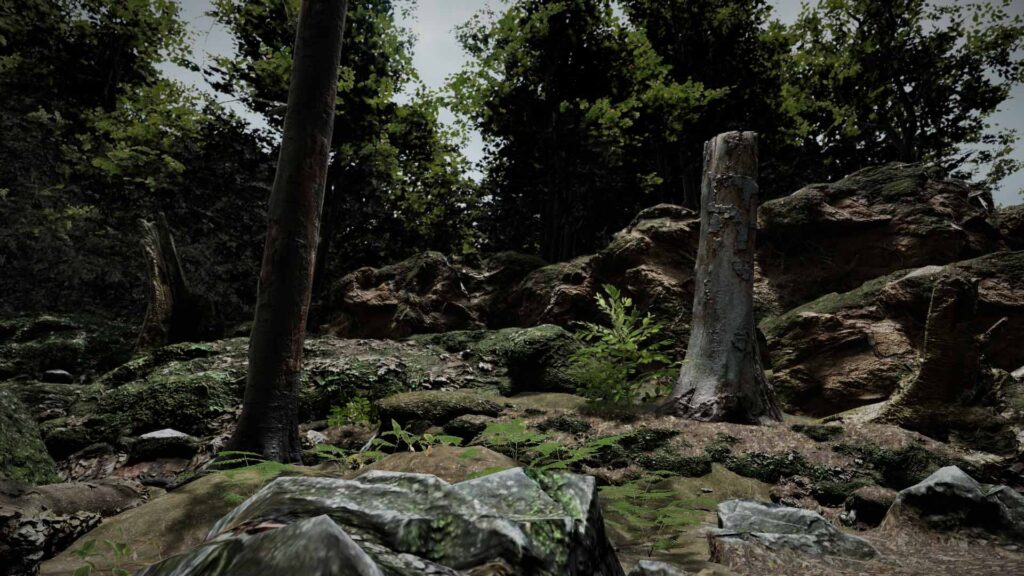 Global Snow - Before